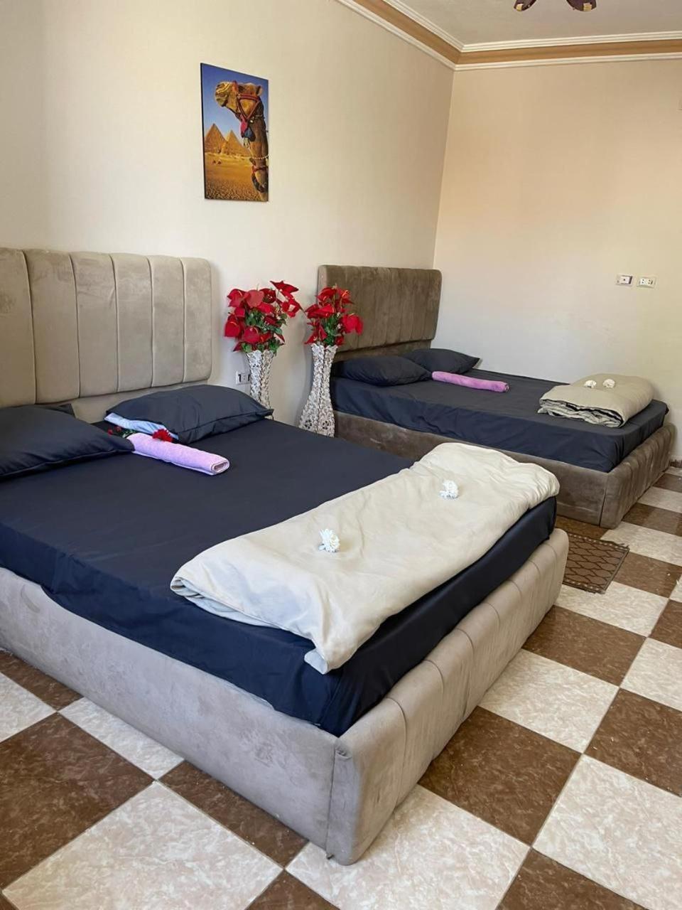 Pyramid Stars Inn Nazlet el-Sîsi Exterior foto
